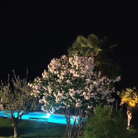 Mareithof Appartements Seeblick Caldaro Dış mekan fotoğraf